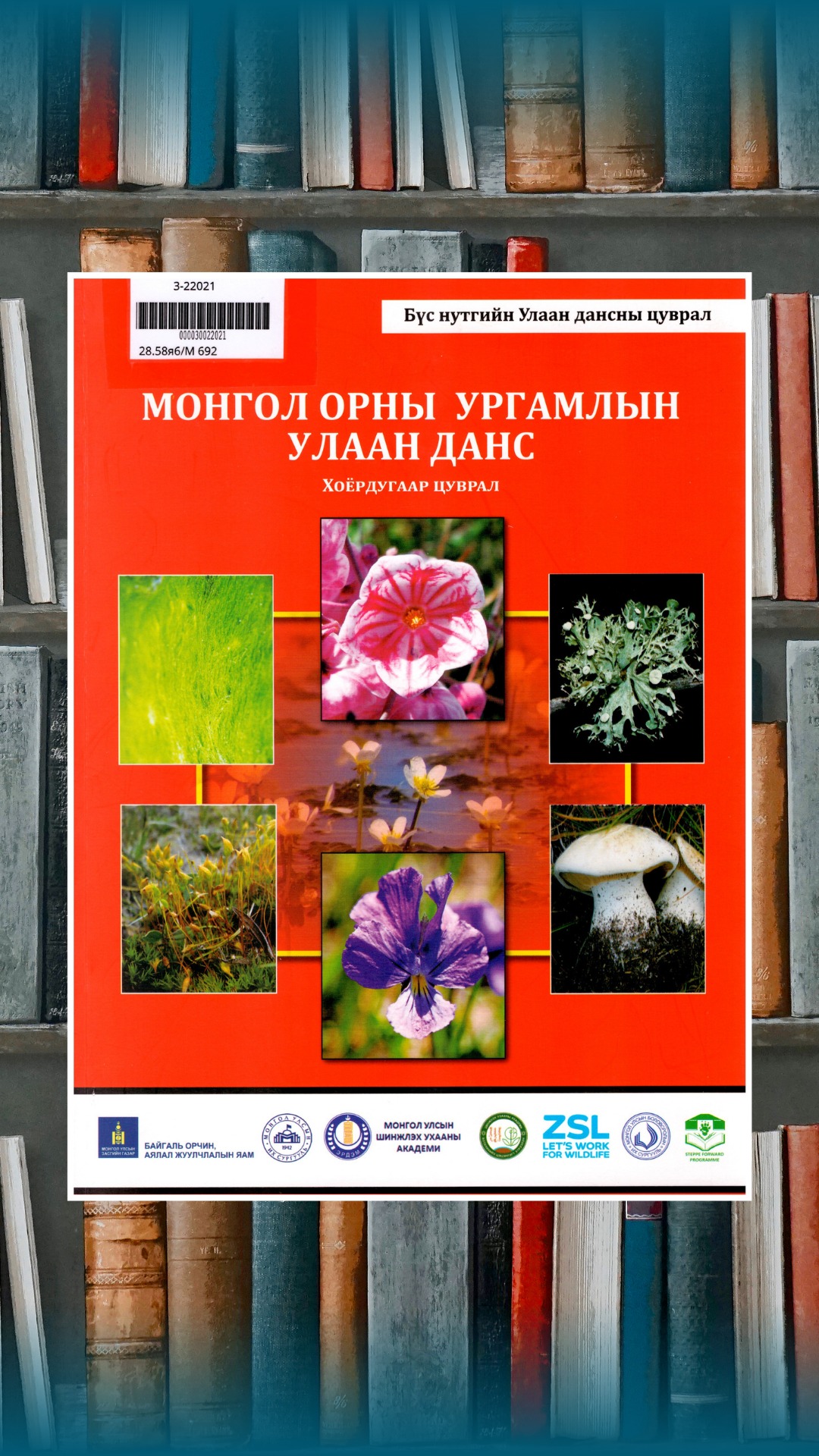 Зураг